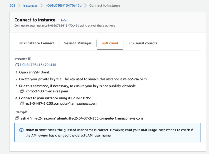 Par de chaves da instância