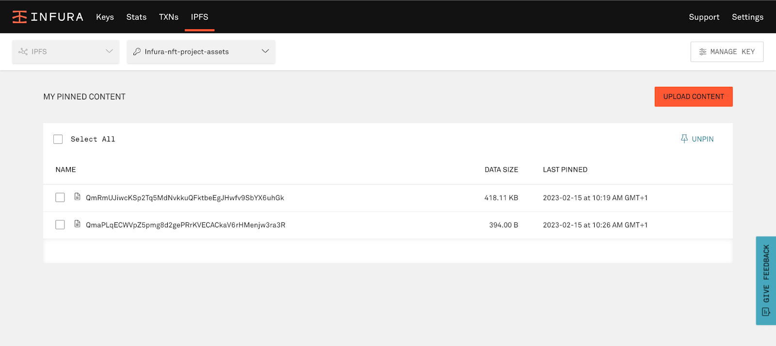 Itens no painel IPFS do Infura