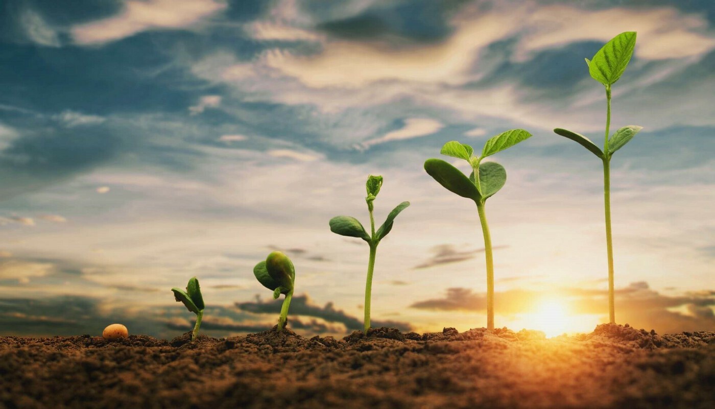 Matemática em Solidity (Parte 4: Juros Compostos)