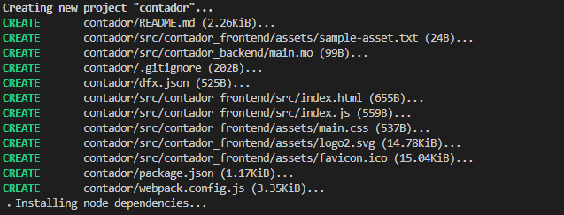 Resultado do comando dfx new
